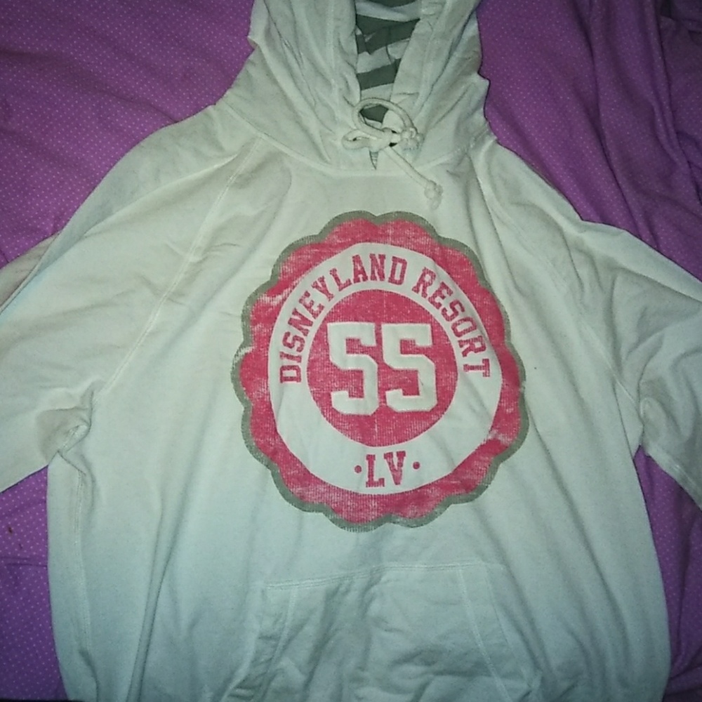 Disneyland resort hoodie